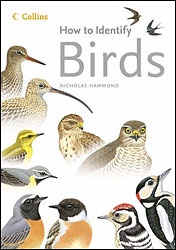 HOW TO IDENTIFY BIRDS 1