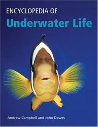 ENCYCLOPEDIA OF UNDERWATER LIFE 1