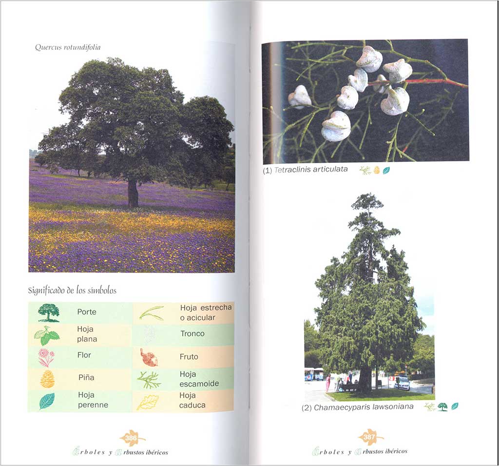ÁRBOLES Y ARBUSTOS IBÉRICOS. GUÍA PRÁCTICA DE IDENTIFICACIÓN 2