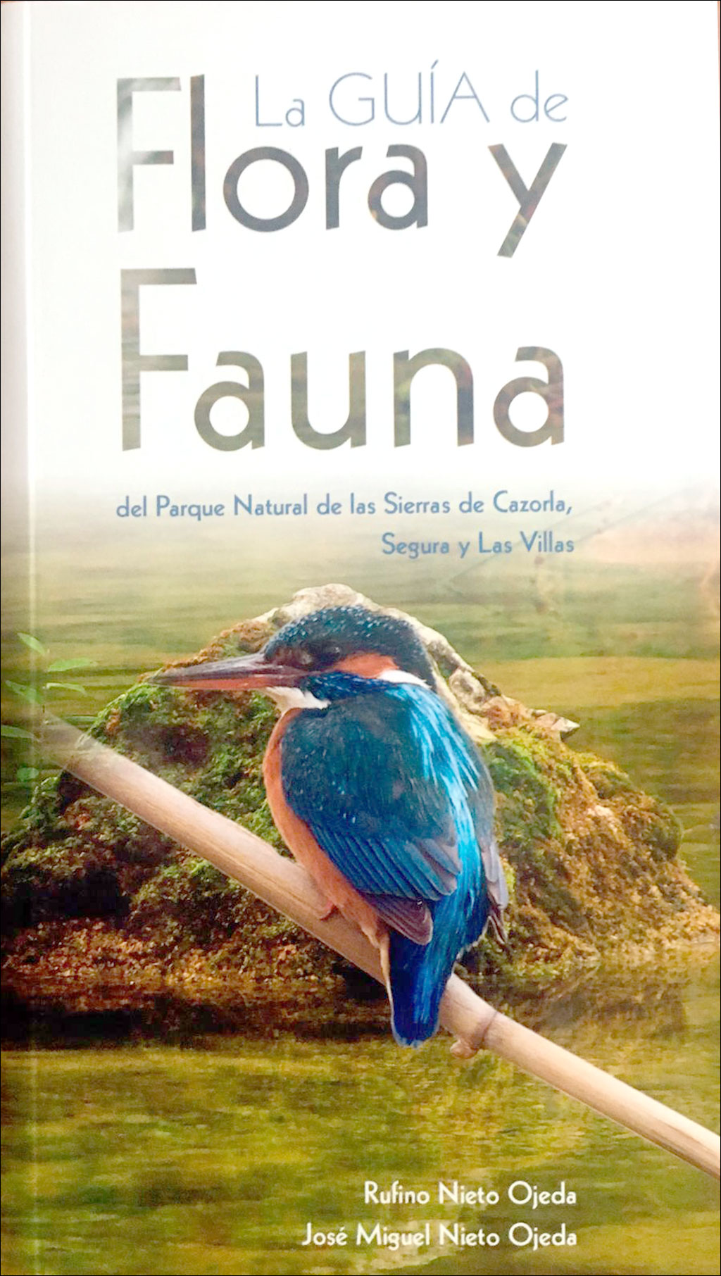 LA GUÍA DE FLORA Y FAUNA DEL PARQUE NATURAL DE LAS SIERRAS DE CAZORLA, SEGURA Y LAS VILLAS 1