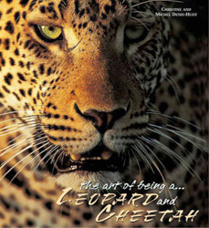 LEOPARDS AND CHEETAHS: THE LORDS OF THE SAVANNAH