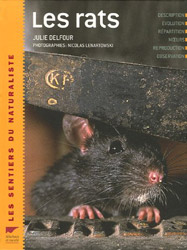 LES RATS
