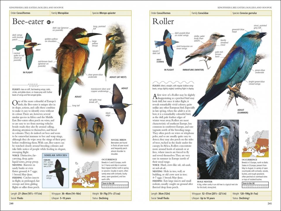 RSPB BIRDS OF BRITAIN AND EUROPE 5