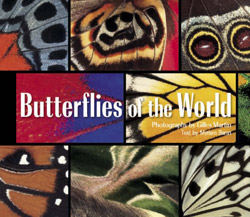 BUTTERFLIES OF THE WORLD