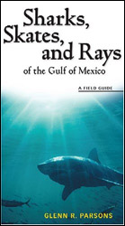 A FIELD GUIDE SHARKS, SKATES, AND RAYS OF THE GULF OF MEXICO 1