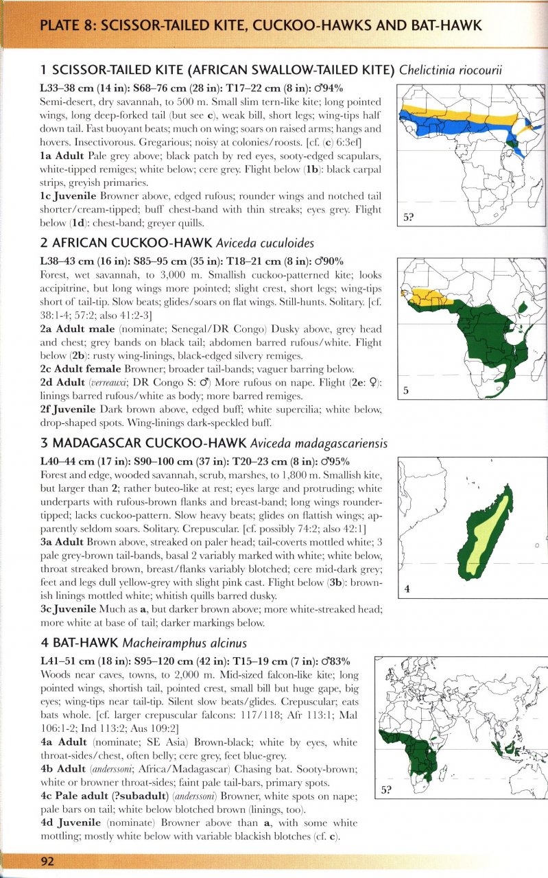 RAPTORS OF THE WORLD. A FIELD GUIDE 2