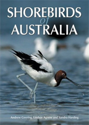 SHOREBIRDS OF AUSTRALIA. THEIR BIOLOGY AND CONSERVATION