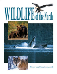 WILDLIFE OF THE NORTH