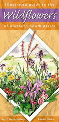 ILLUSTRATED GUIDE TO THE WILDFLOWERS OF NORTHERN SOUTH AFRICA 1