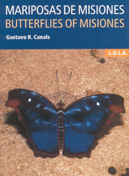 MARIPOSAS DE MISIONES. BUTTERFLIES OF MISIONES 1