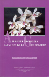 ATLAS DES ORCHIDÉES SAUVAGES DE LA GUADELOUPE 1