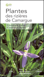 PLANTES DES RIZIÈRES DE CAMARGUE 2