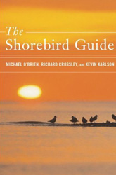 THE SHOREBIRD GUIDE 1