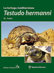 LA TORTUGA MEDITERRÁNEA, TESTUDO HERMANNI 2