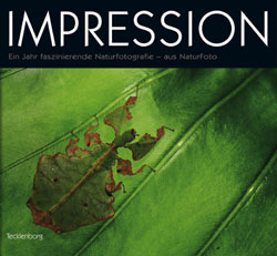 IMPRESSION. EIN JAHR FASZINIERENDE NATURFOTOGRAFIE