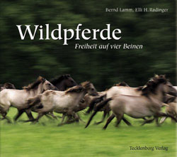 WILDPFERDE. FREIHEIT AUF VIER BEINEN