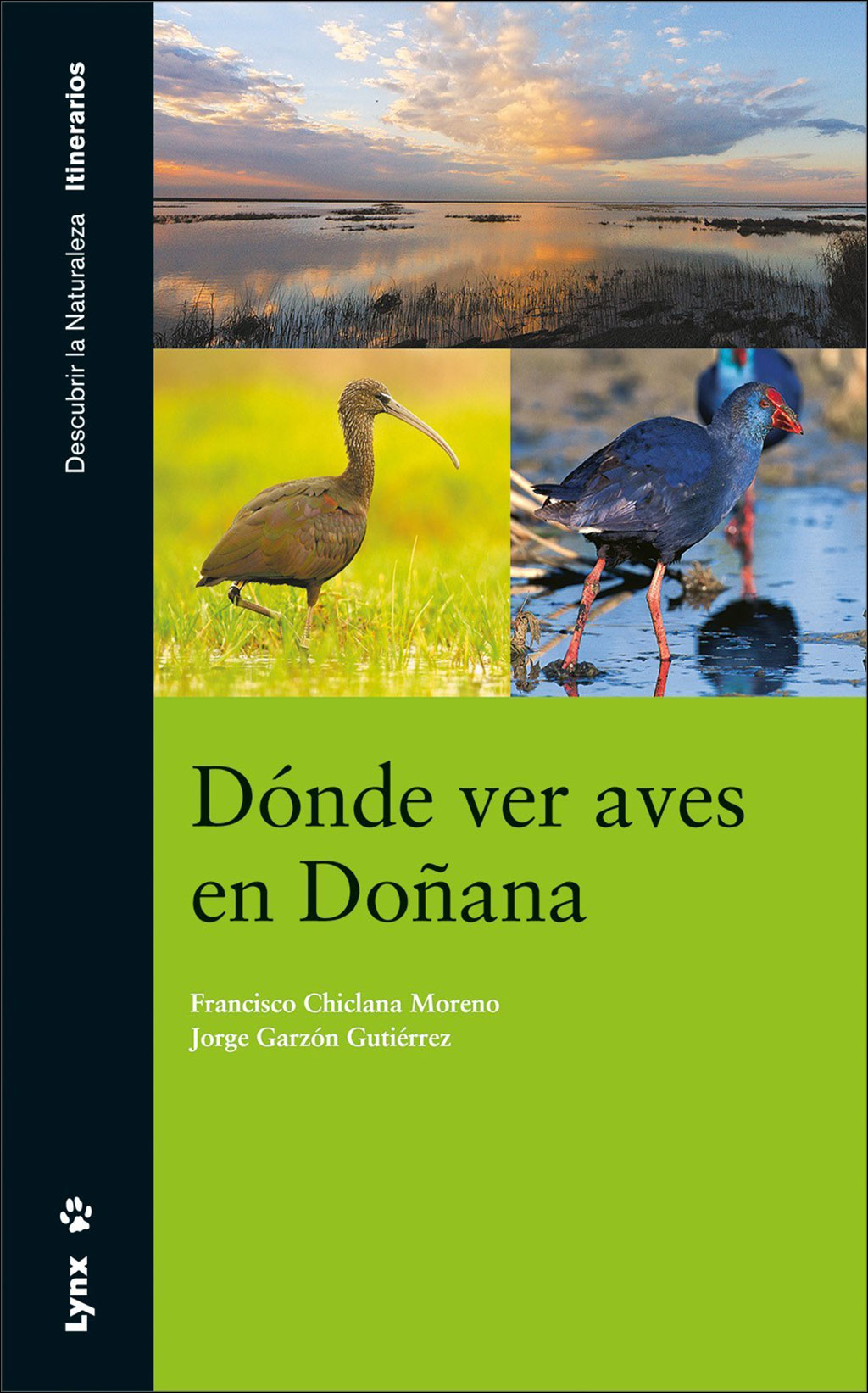 DÓNDE VER AVES EN DOÑANA 1