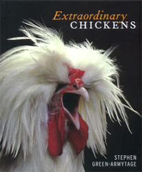 EXTRAORDINARY CHICKENS