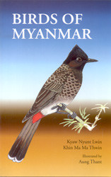 BIRDS OF MYANMAR 1