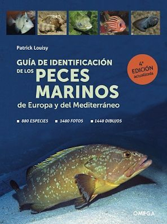GUÍA DE IDENTIFICACIÓN DE LOS PECES MARINOS DE EUROPA Y DEL MEDITERRÁNEO 1