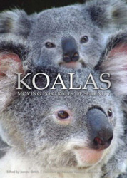KOALAS MOVING PORTRAITS OF SERENITY