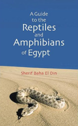 A GUIDE TO THE REPTILES AND AMPHIBIANS OF EGYPT 1