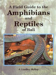 A FIELD GUIDE TO THE AMPHIBIANS AND REPTILES OF BALI 1