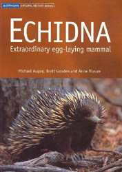 ECHIDNA. EXTRAORDINARY EGG-LAYING MAMMAL
