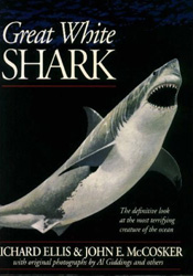 GREAT WHITE SHARK