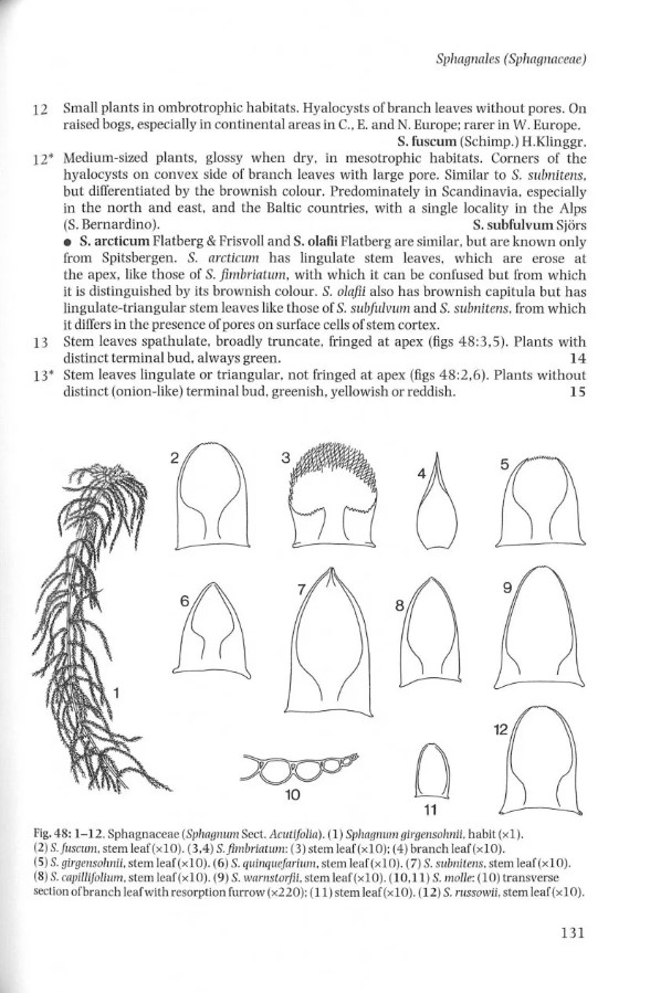 THE LIVERWORTS, MOSSES AND FERNS OF EUROPE 2