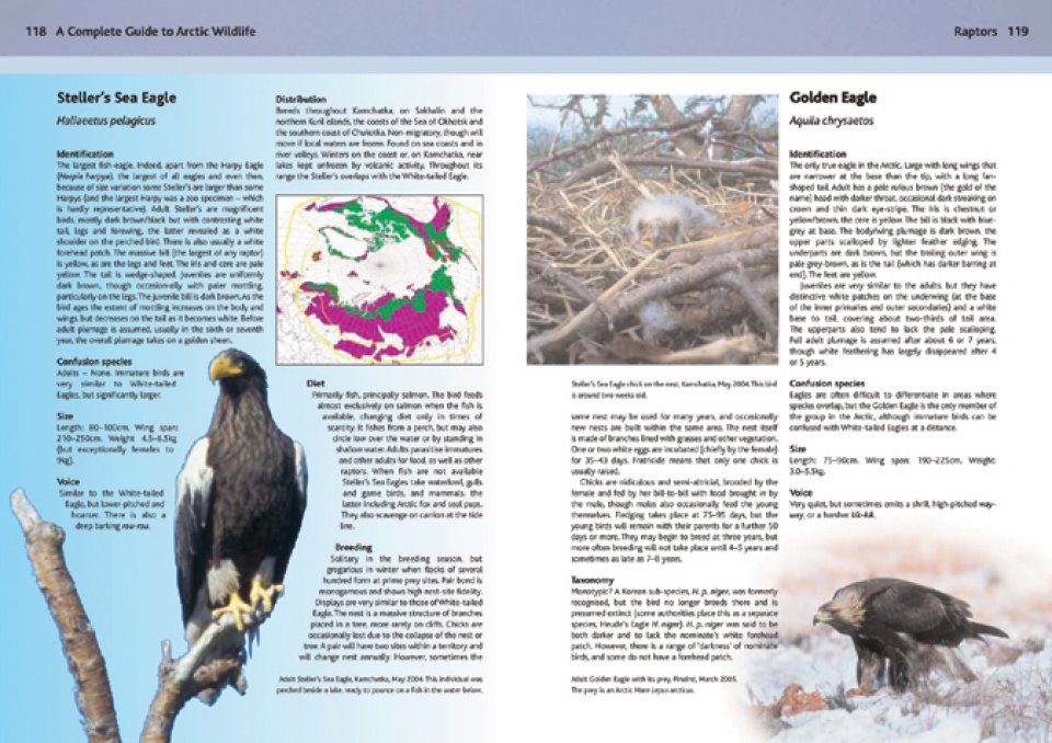 A COMPLETE GUIDE TO ARCTIC WILDLIFE 2