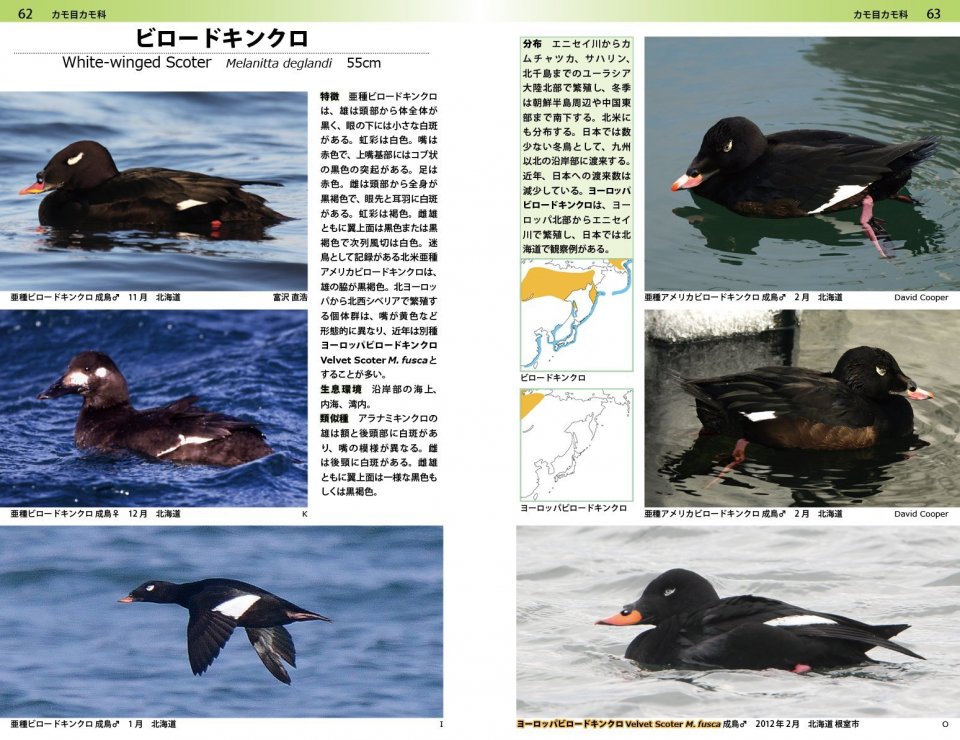 A PHOTOGRAPHIC GUIDE TO THE BIRDS OF JAPAN AND NORTH-EAST ASIA 2