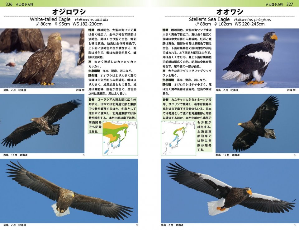 A PHOTOGRAPHIC GUIDE TO THE BIRDS OF JAPAN AND NORTH-EAST ASIA 3