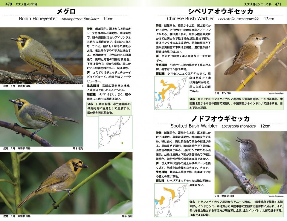 A PHOTOGRAPHIC GUIDE TO THE BIRDS OF JAPAN AND NORTH-EAST ASIA 4