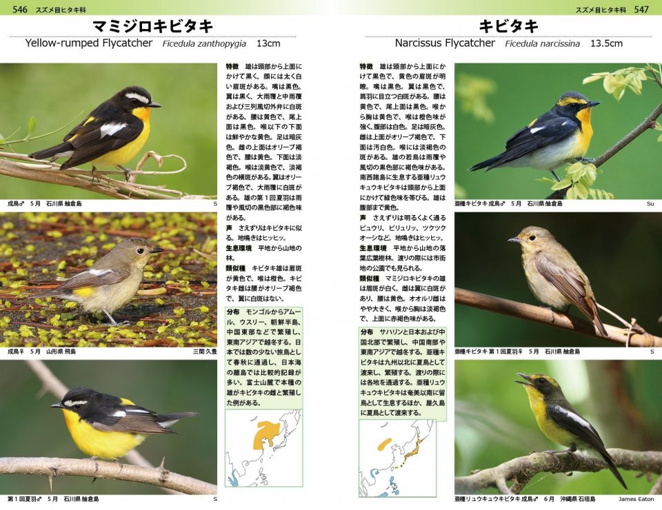 A PHOTOGRAPHIC GUIDE TO THE BIRDS OF JAPAN AND NORTH-EAST ASIA 5