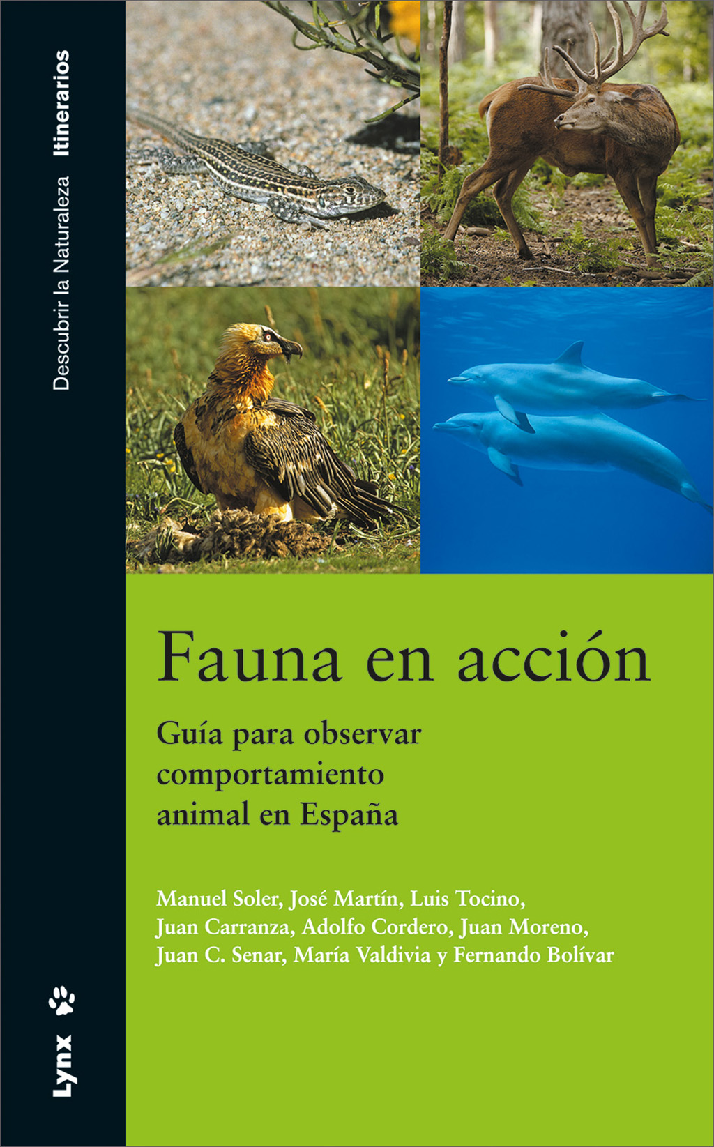 FAUNA EN ACCIÓN    1
