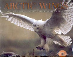 ARCTIC WINGS. BIRDS OF THE ARCTIC NATIONAL WILDLIFE REFUGE