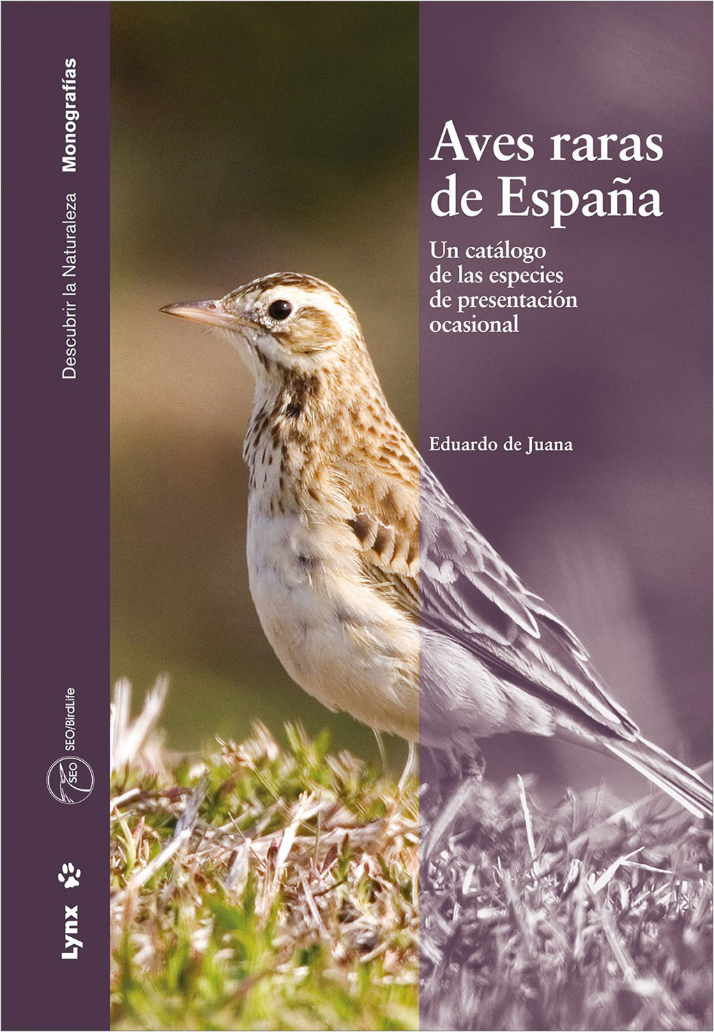 AVES RARAS DE ESPAÑA. UN CATÁLOGO DE ESPECIES DE PRESENTACIÓN OCASIONAL 1