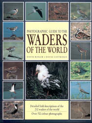 PHOTOGRAPHIC GUIDE TO THE WADERS OF THE WORLD 1