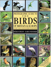 PHOTOGRAPHIC GUIDE TO THE BIRDS OF BRITAIN AND EUROPE 1