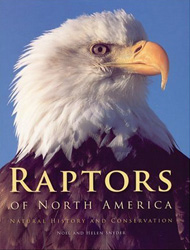 RAPTORS OF NORTH AMERICA. NATURAL HISTORY AND CONSERVATION