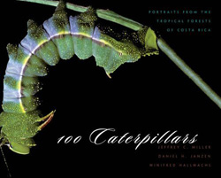 100 CATERPILLARS. PORTRAITS FROM THE TROPICAL FORESTS OF COSTA RICA 2