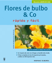 FLORES DE BULBO AND CO RÁPIDO Y FÁCIL 1