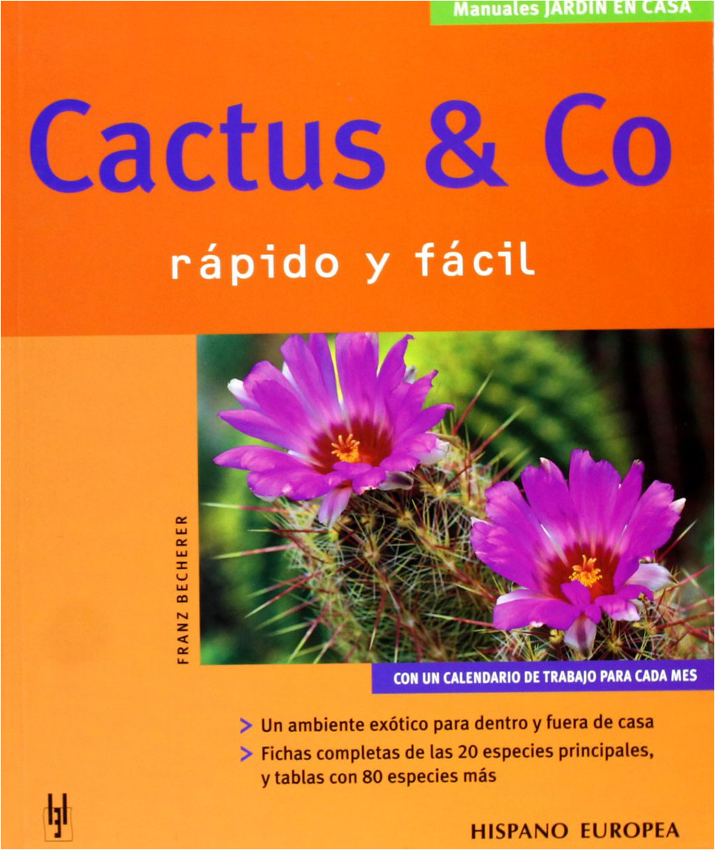 CACTUS Y CO. RÁPIDO Y FÁCIL 1