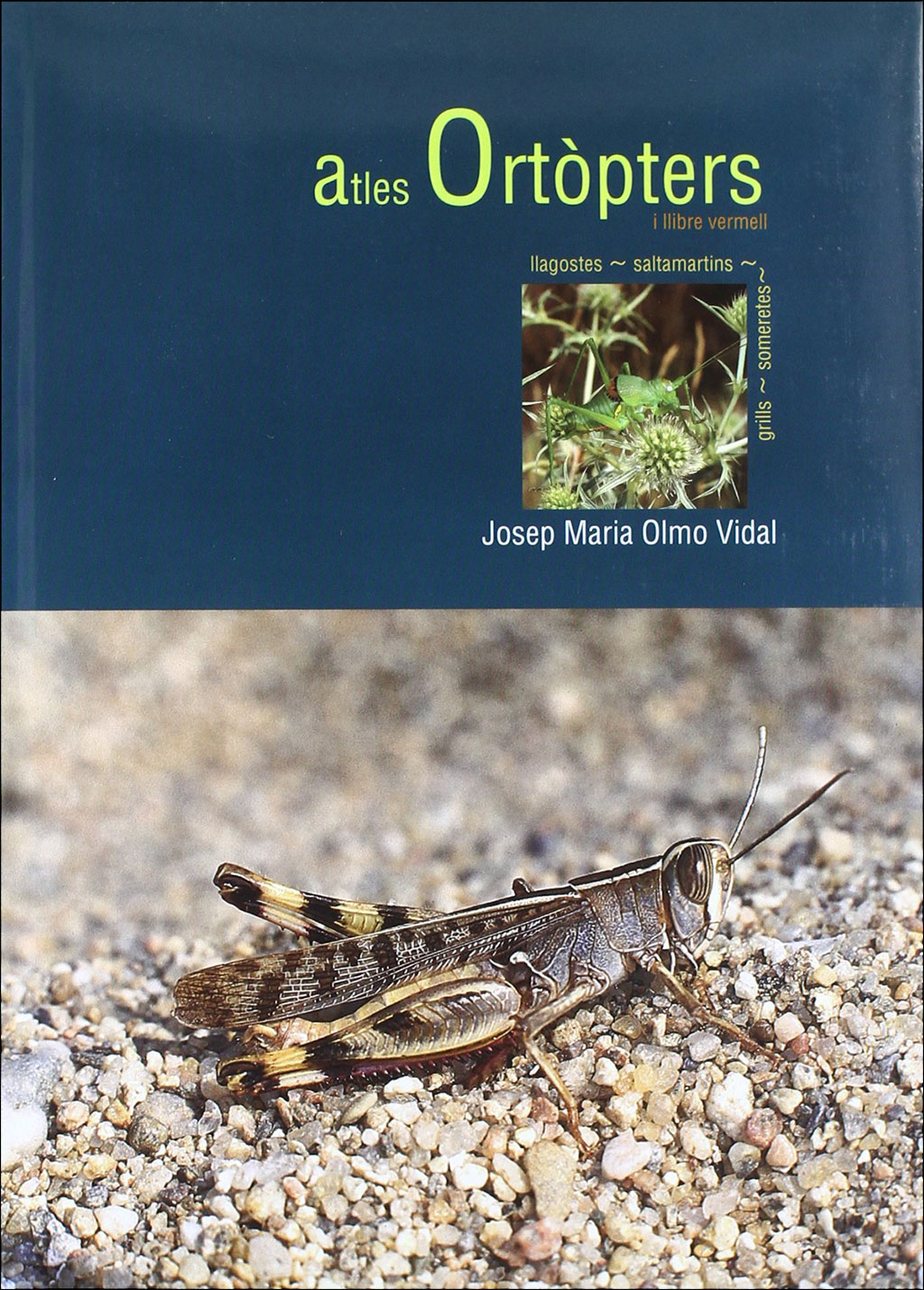 ATLES ORTÒPTERS I LLIBRE VERMELL 1