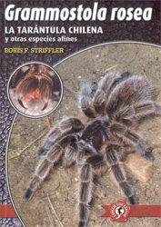 LA TARÁNTULA ROJA DE CHILE GRAMMOSTOLA ROSEA Y OTRAS ESPECIES DEL GÉNERO GRAMMOSTOLA 2