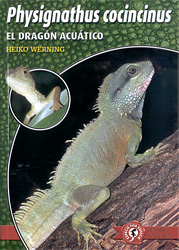 EL DRAGÓN ACUÁTICO PHYSIGNATHUS COCINCINUS 1