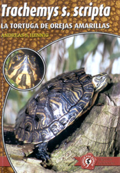 LA TORTUGA DE OREJAS AMARILLAS. TRACHEMYS S. SCRIPTA
