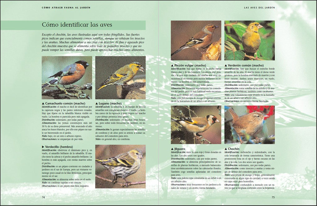 CÓMO ATRAER FAUNA AL JARDÍN 3