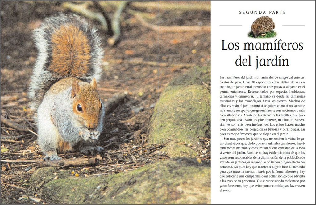 CÓMO ATRAER FAUNA AL JARDÍN 4